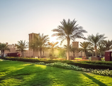 واحات النخيل في العلا