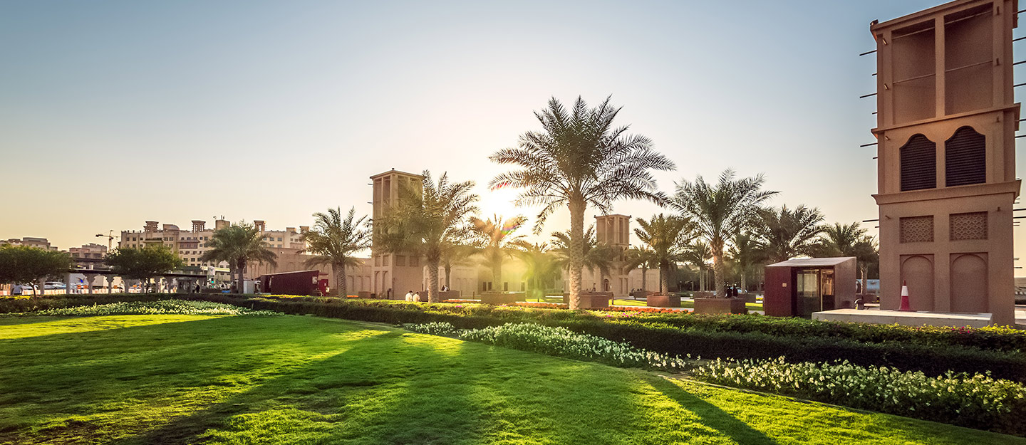 واحات النخيل في العلا