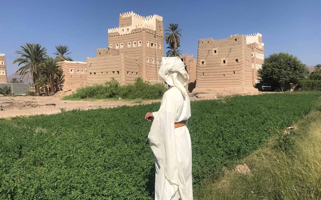 Government support for agriculture in Najran