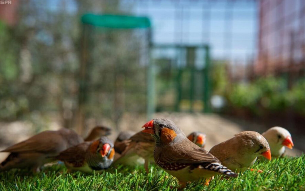 Zaytuna Farm opening hours