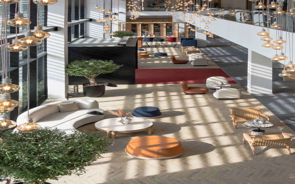 Offices Zone project