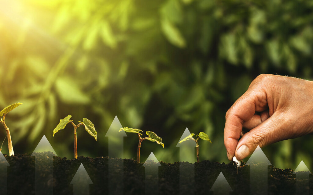 Green investment in Saudi Arabia