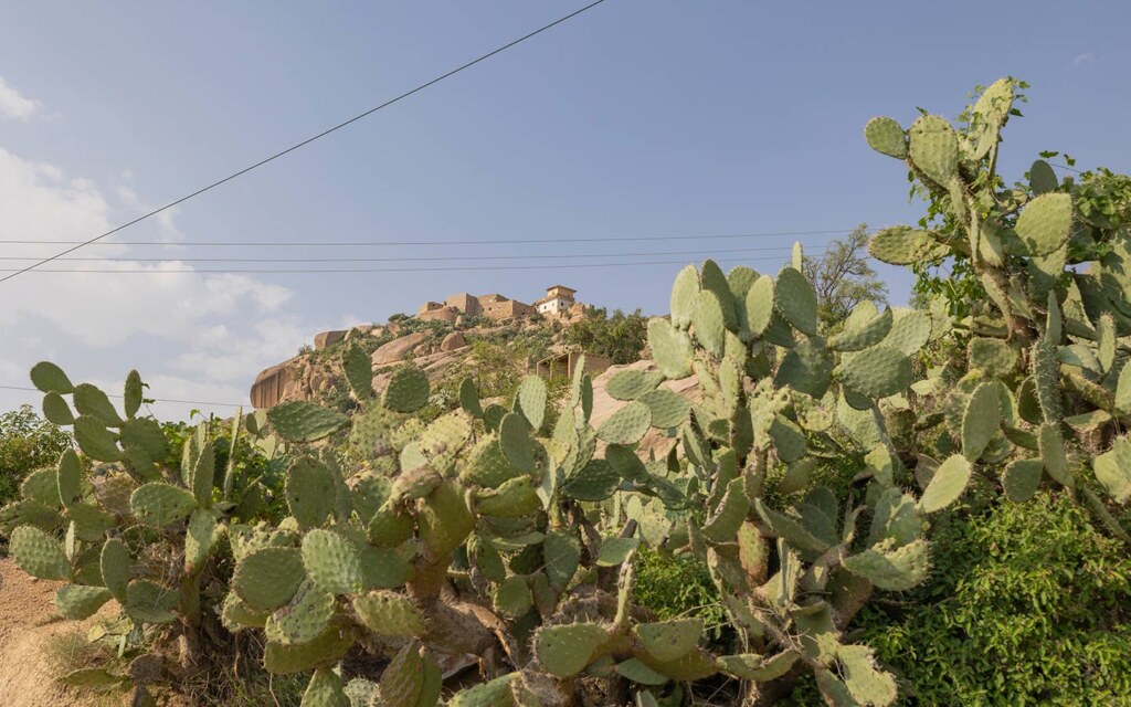 National Center for Wildlife