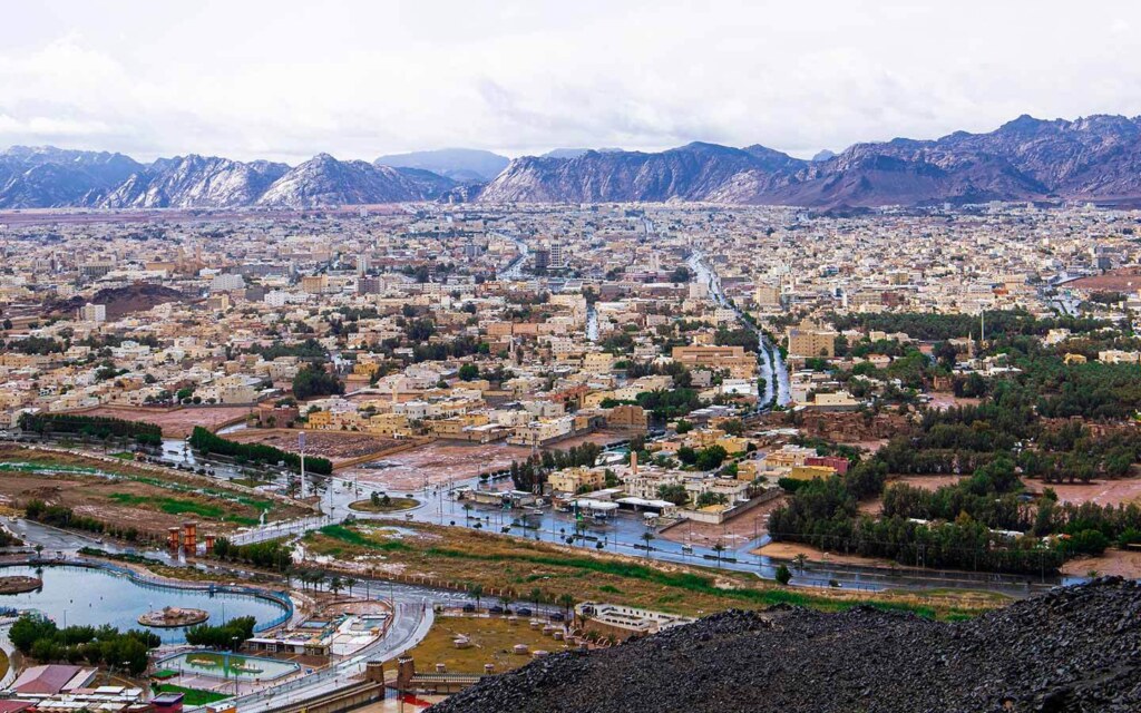 The initiatives improving neighborhoods, tourism, and sustainability.