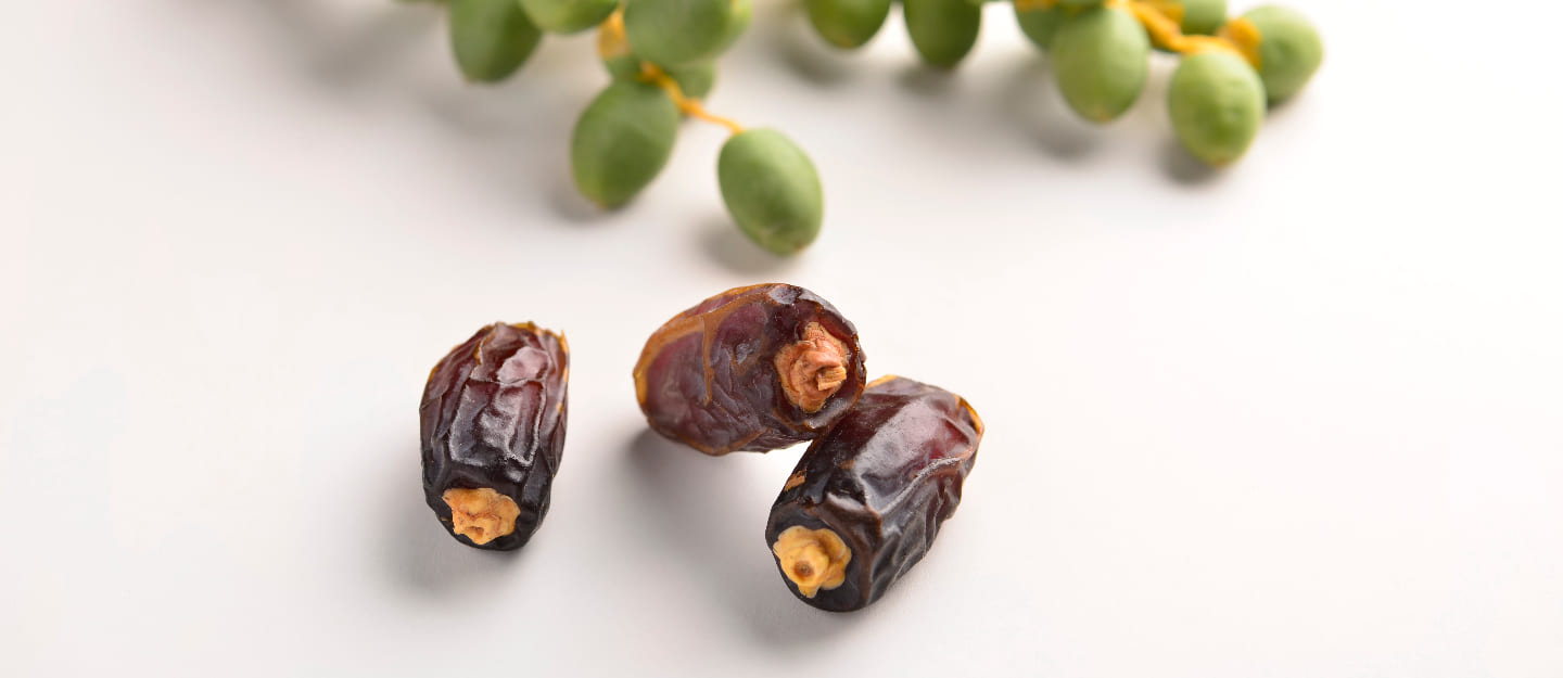 Date processing industries in Saudi Arabia