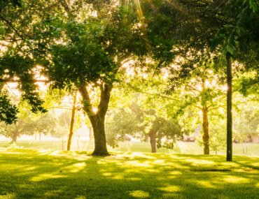 منتزه أرامكو البيئي