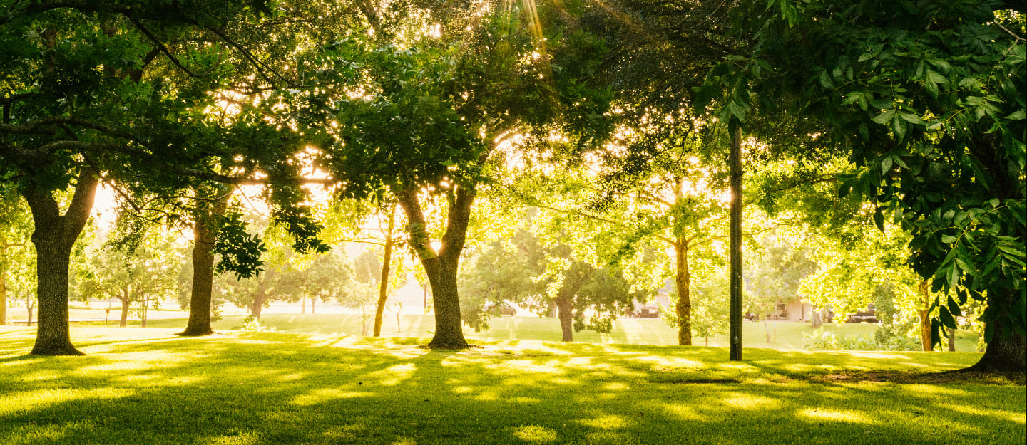 منتزه أرامكو البيئي