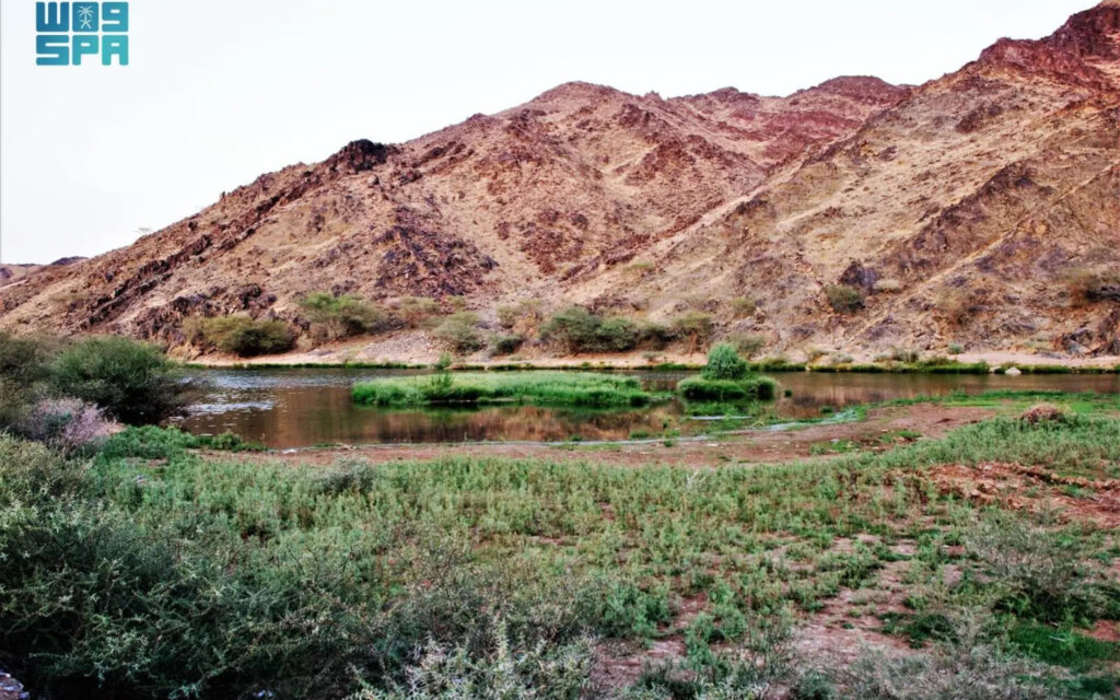 أهمية  منطقة وادي غران