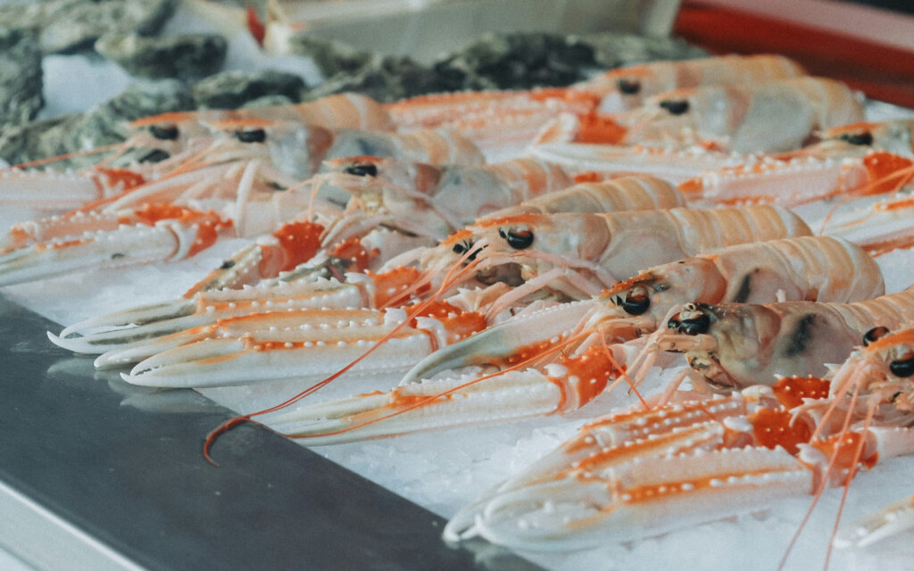 مهرجان روبيان الشرقية