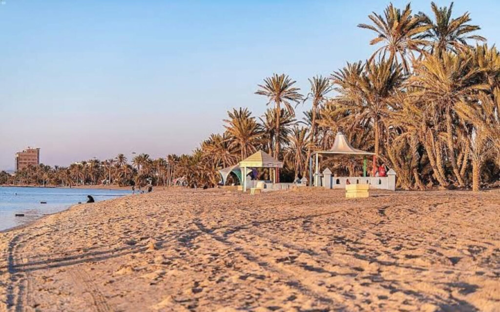 شاطئ رأس الشعبان