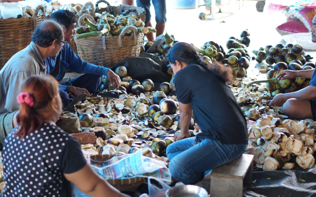 Date Factories in Al Qassim