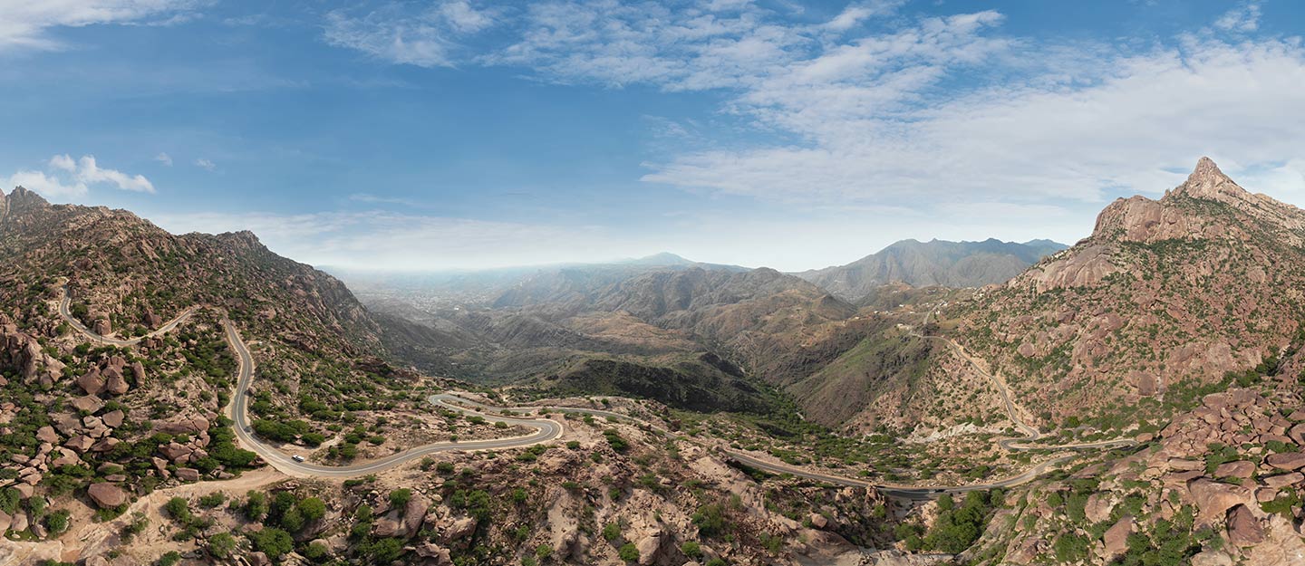 Investment in Al Baha