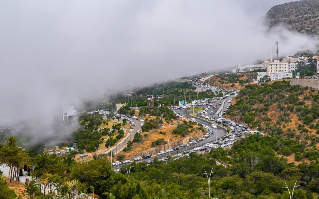 Investment in Al Baha