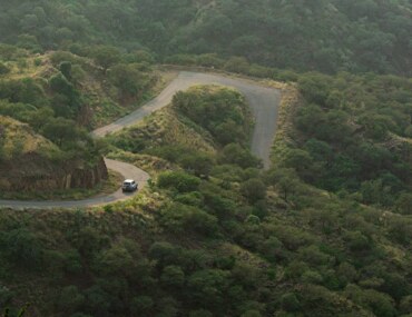 Investment in Asir: Opportunities, Major Projects, and Promising Sectors