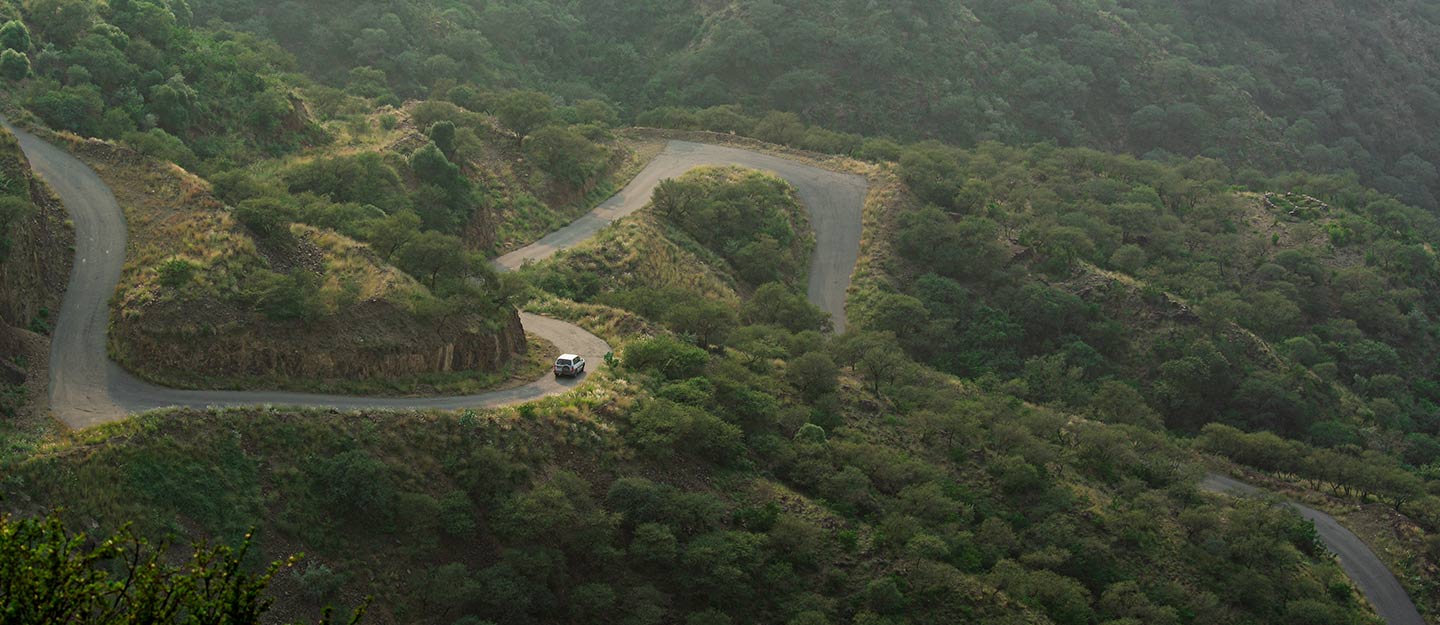 Investment in Asir: Opportunities, Major Projects, and Promising Sectors