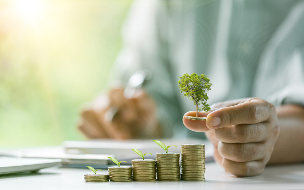 الاستثمار الجريء في أبها