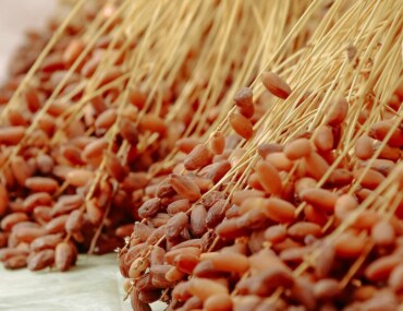 اتفاقيات انتاج وتصنيع التمور