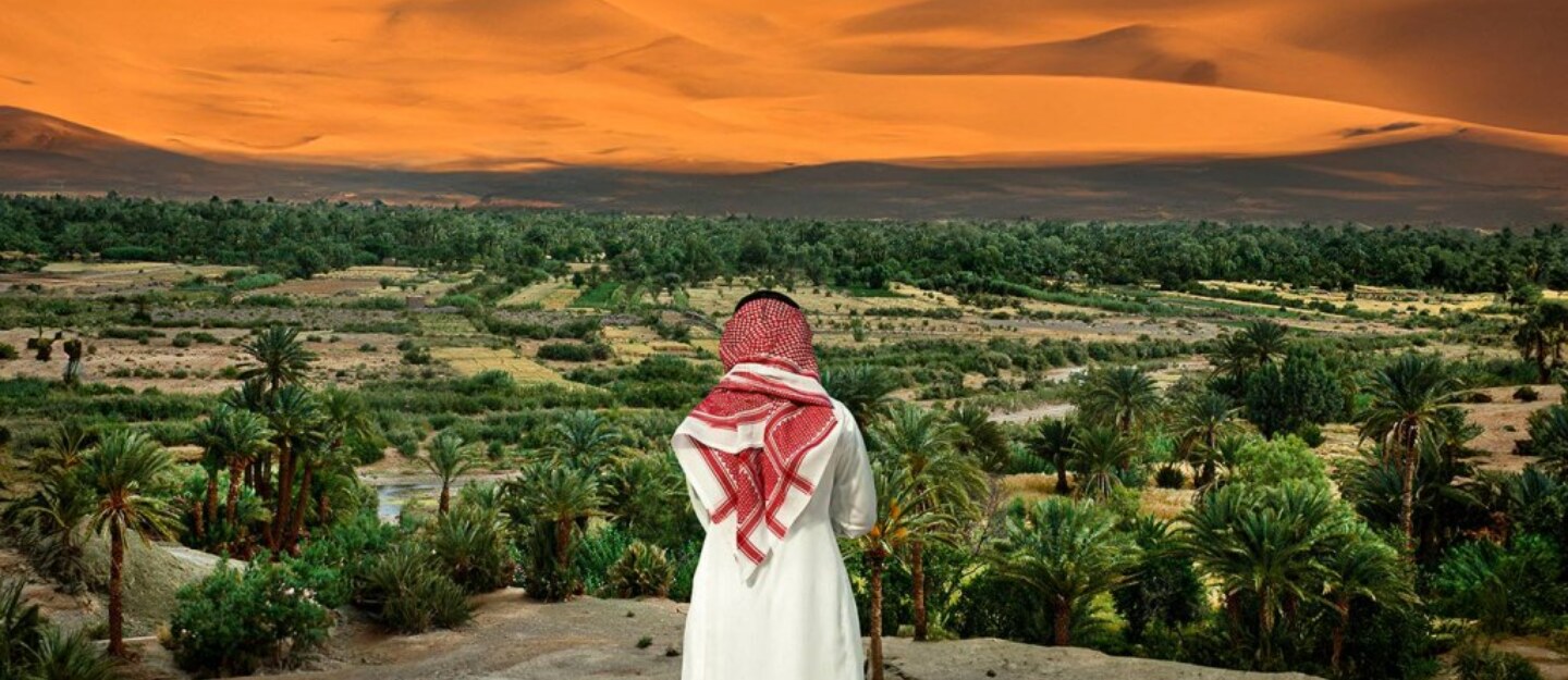 رحلة الوجهة شمال