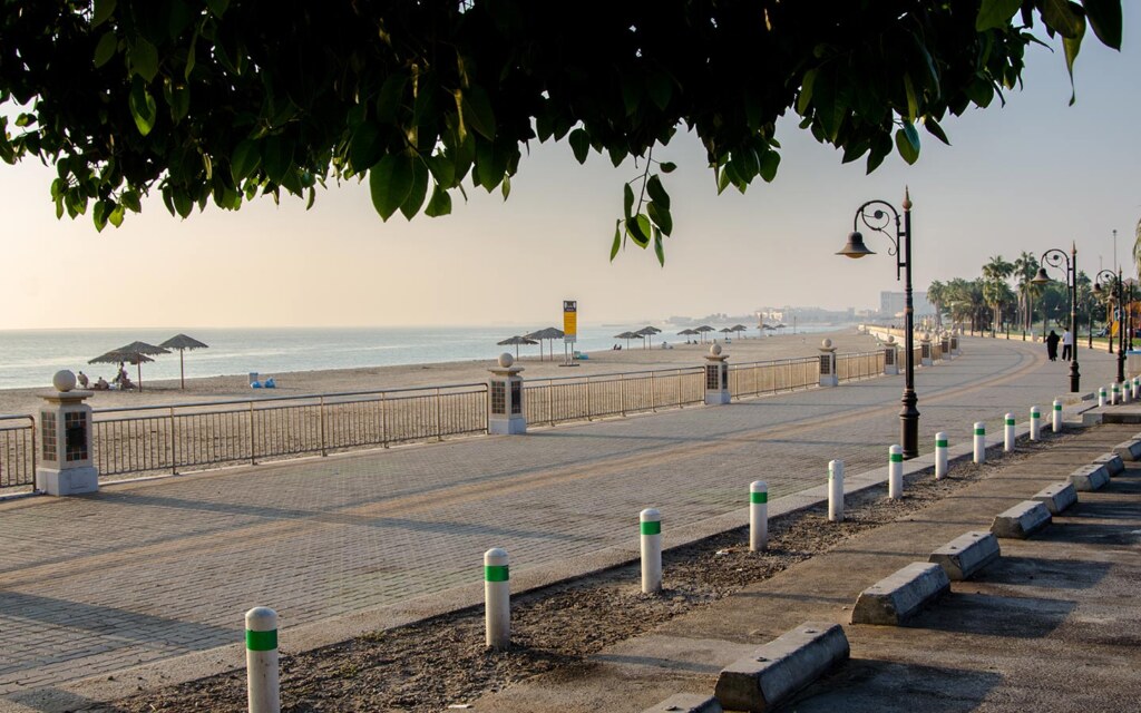 شواطئ محافظة الوجه