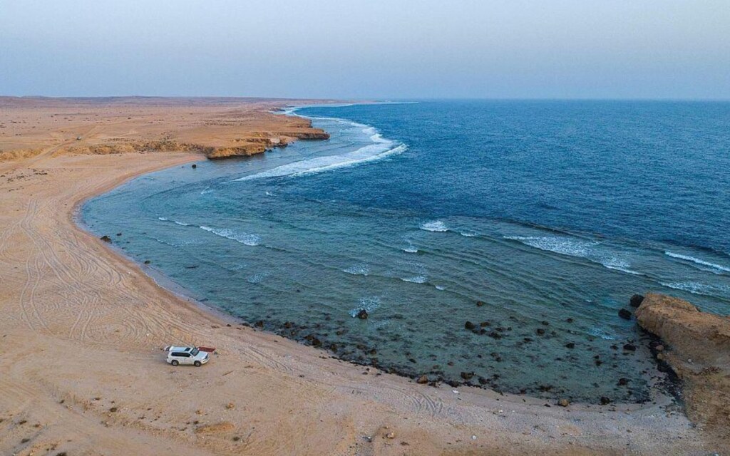 شاطئ بالسعودية