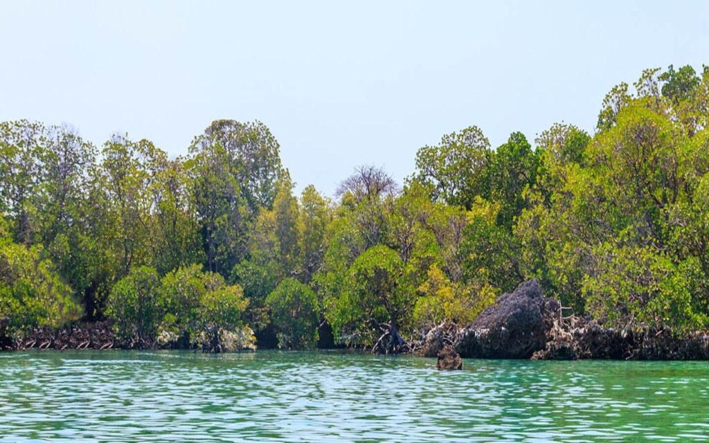 محميات طبيعية سعودية