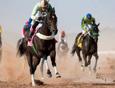 مهرجان أمير حائل للفروسية