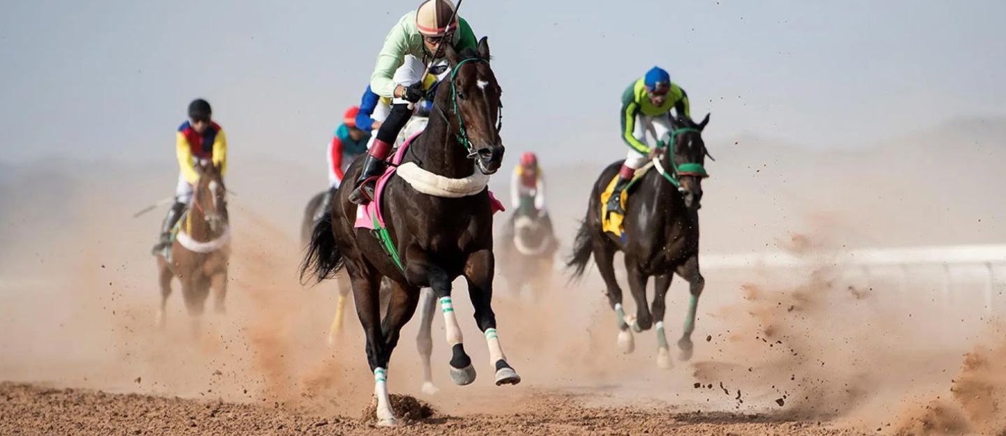 مهرجان أمير حائل للفروسية