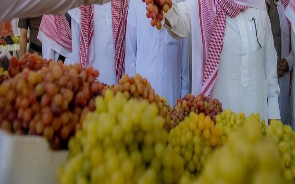 مهرجان الفاكهة بطبرجل