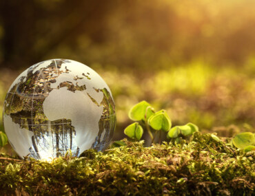 Clean Energy Investment in Saudi Arabia