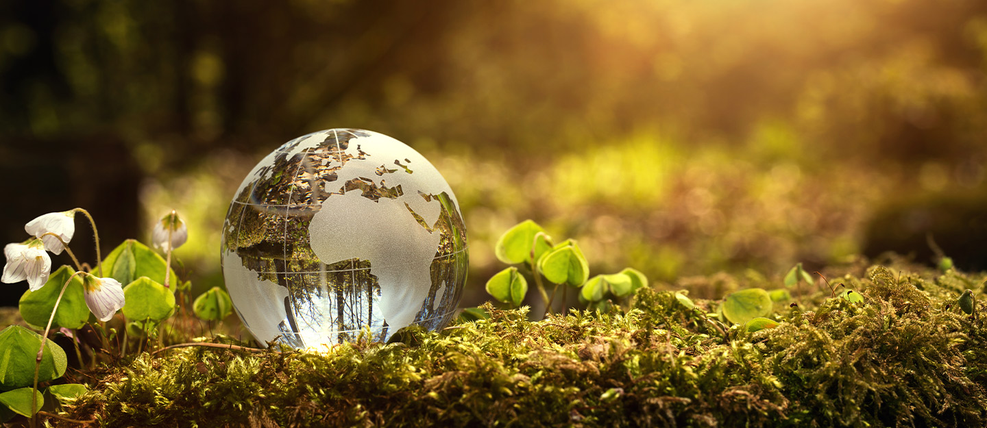 Clean Energy Investment in Saudi Arabia