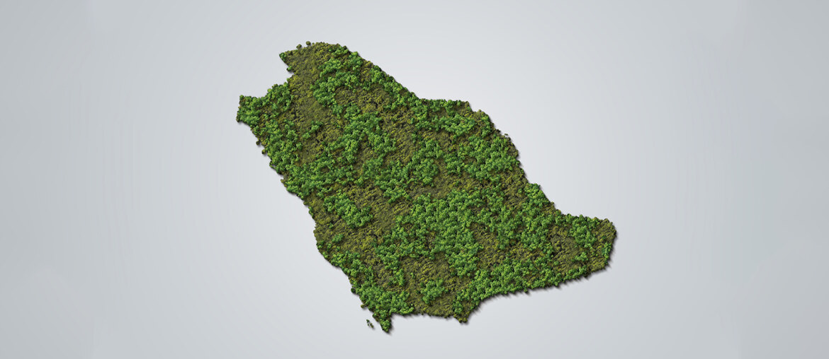 الاستثمار في الذهب الأخضر