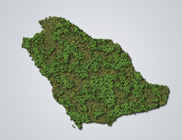 الاستثمار في الذهب الأخضر