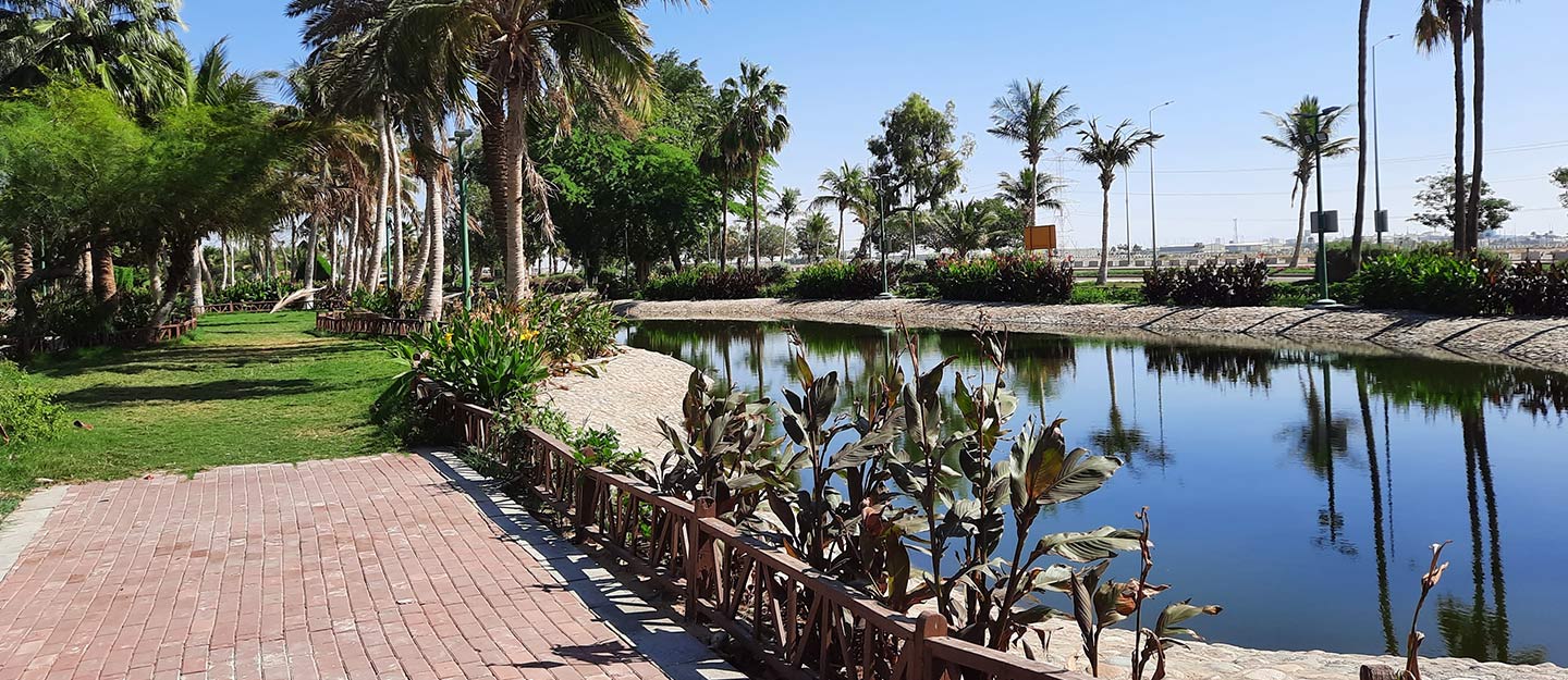 Modon Oasis in Jeddah : A Hub for Industrial Growth and Innovation