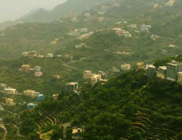 Saudi Green Initiative, KSA