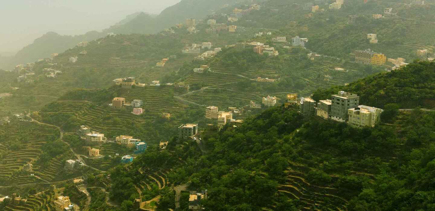 Saudi Green Initiative, KSA