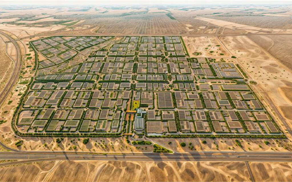 البيئة الاستثمارية في المنطقة اللوجستية