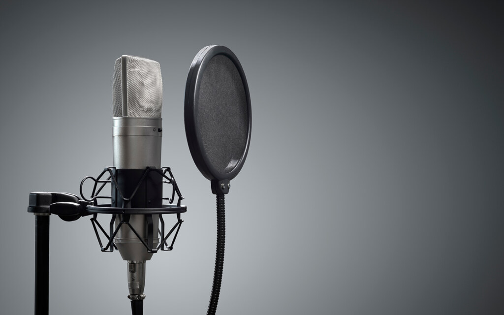 صناعة الاستثمار الصوتي