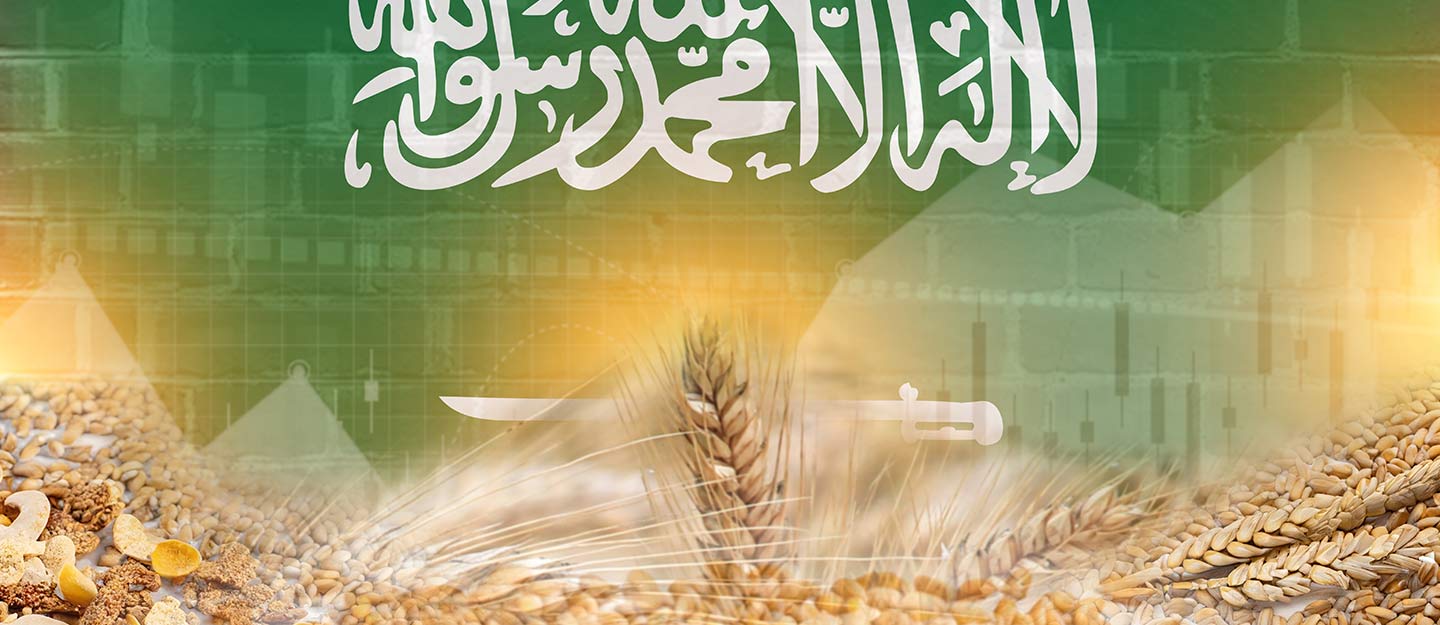 الاستثمار في المحاصيل البعلية في السعودية