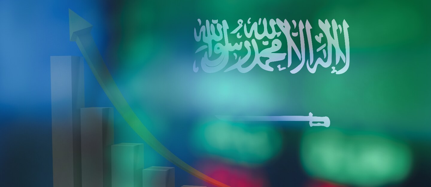 برنامج الاستدامة المالية