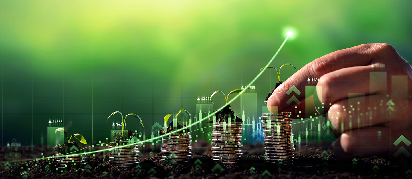 رأس المال الجريء في المدينة المنورة