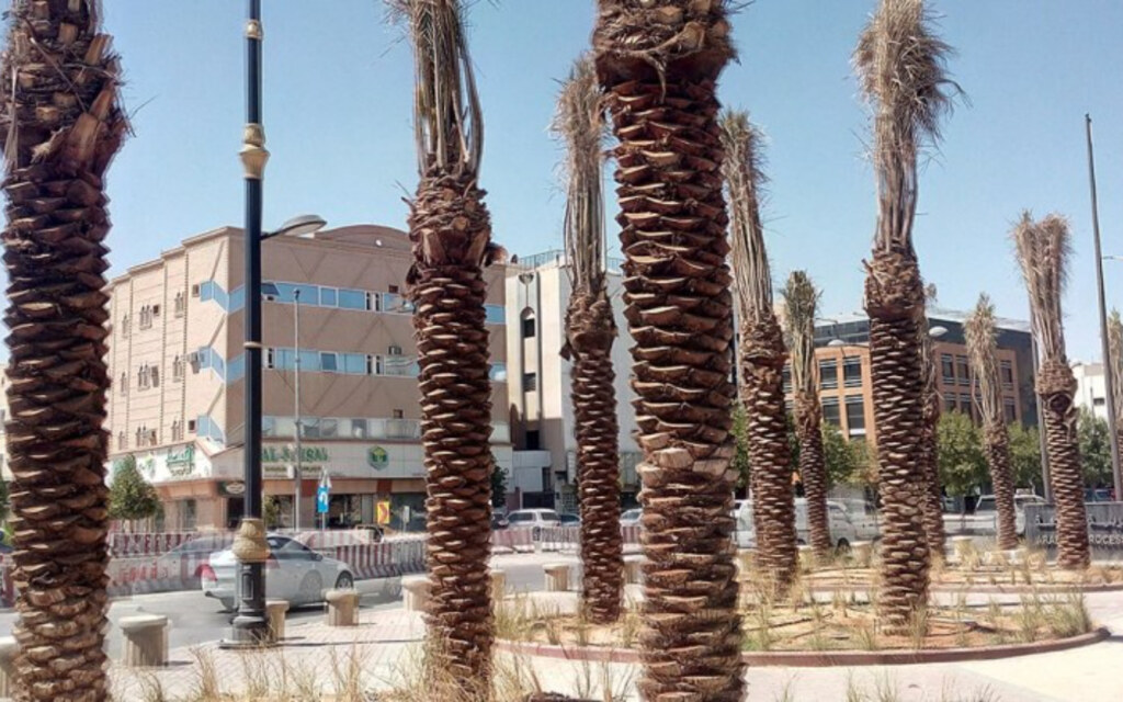 تحديد موقع سكن الطلاب بالنسبة لبوابات الجامعة