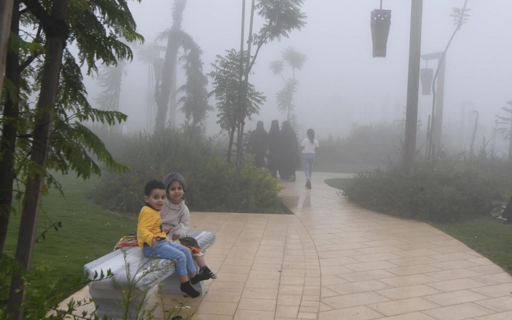 حدائق مدينة أبها