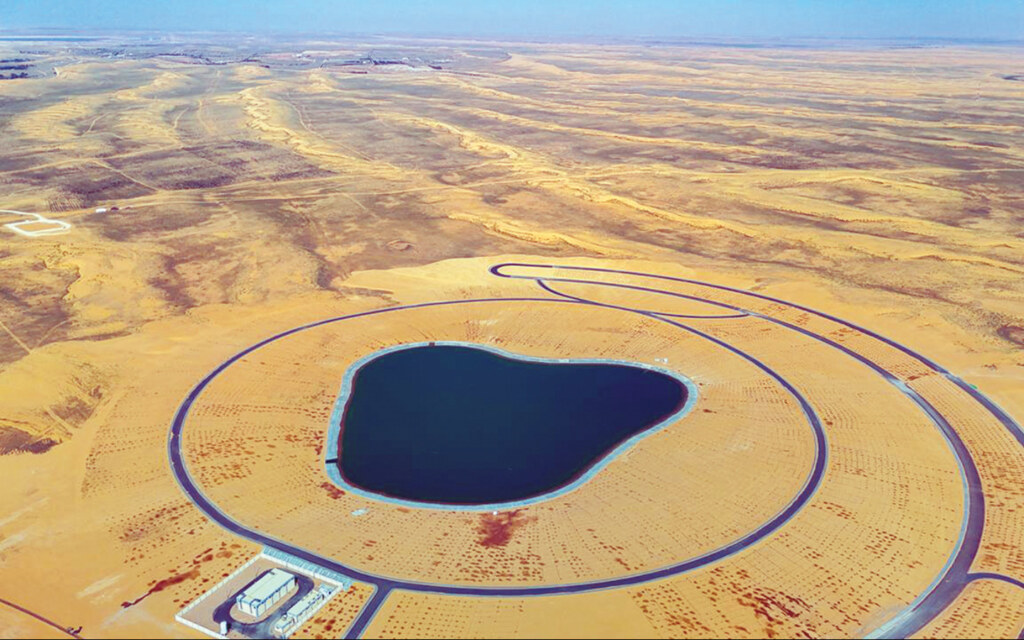 الاستثمار في واحة بريدة
