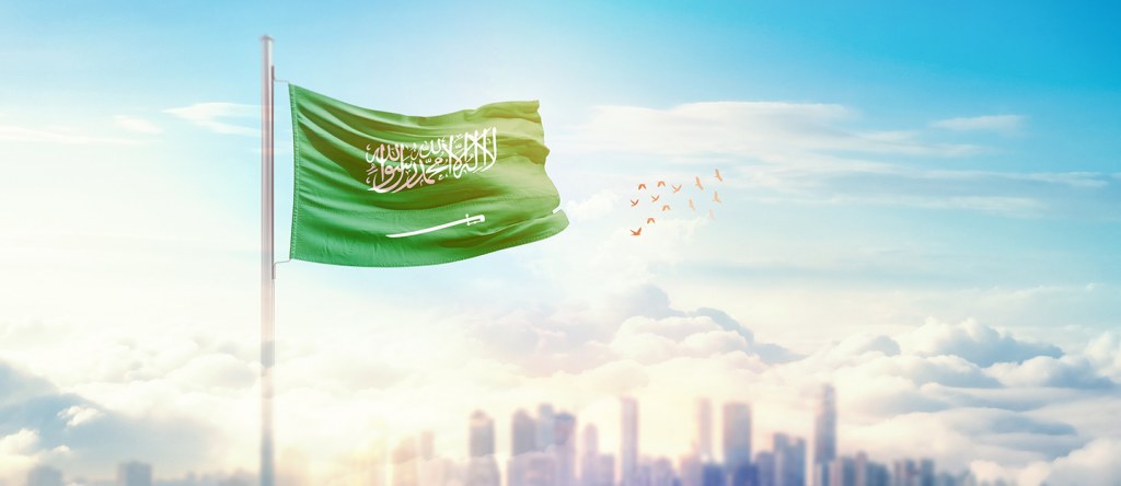 برنامج تطوير وزارة الحرس الوطني